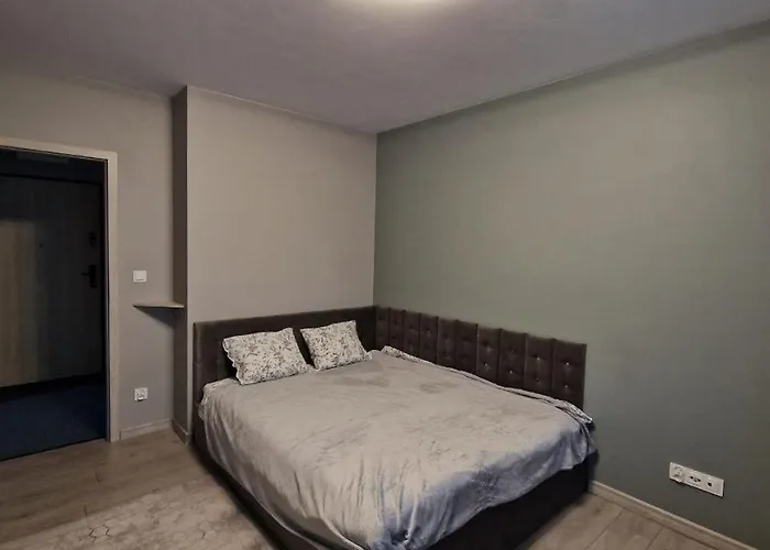 Mieszkanie W Poznaniu Lägenhet *